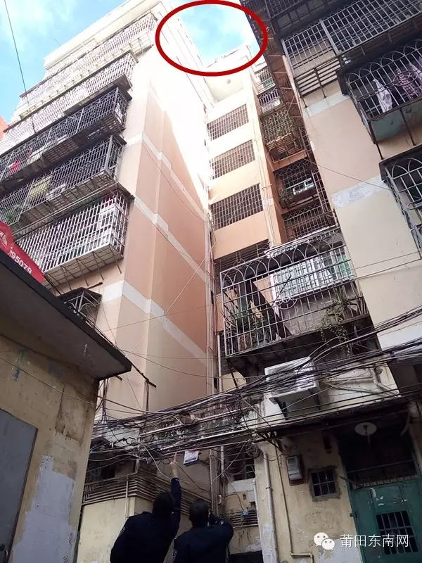 1452133793391675.jpg 1.jpg