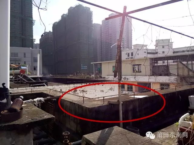 1452133883516037.jpg 2.jpg