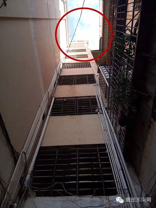 1452133990258750.jpg 4_看圖王.web.jpg