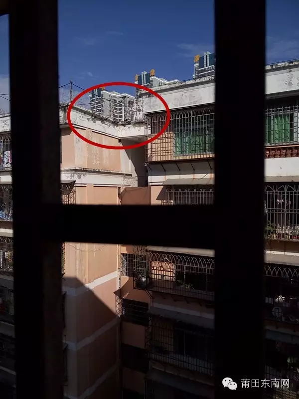 1452134047124727.jpg 5.jpg