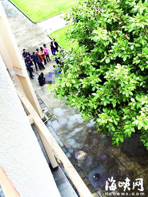 1460444979780295.jpg vfv3-fxrcizu4028531.jpg