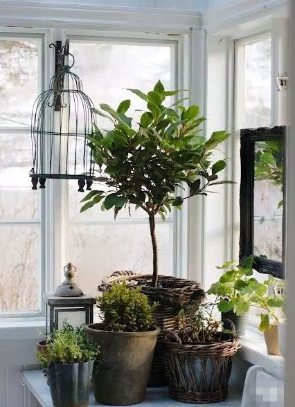 1461222252140326.jpg 1461145266184434_副本.jpg