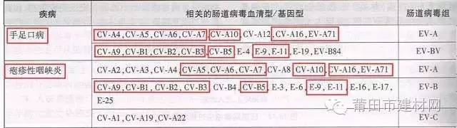 1465283610248250.jpg 0 (4).jpg