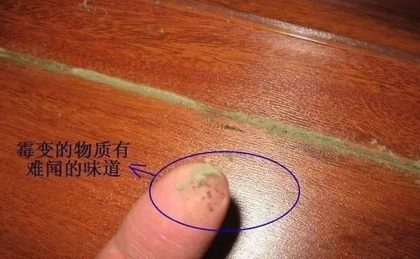 1467938613111762.jpg 640 (2).jpg