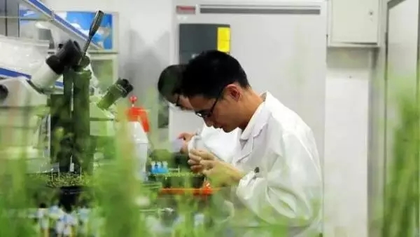 1477879839421152.jpg 640.webp (6).jpg