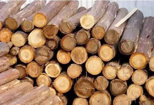 1483144407164252.jpg 816147139502905369.jpg