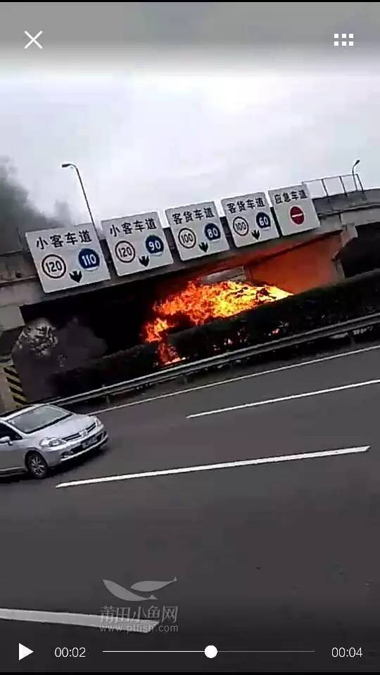 1484442096101262.jpg 12.jpg