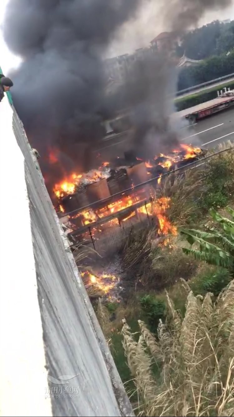 1484442143318779.jpg 18.jpg