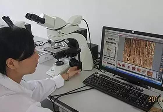 1487032360537466.jpg 1.jpg