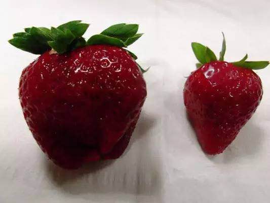 1487897582117438.jpg 5.jpg