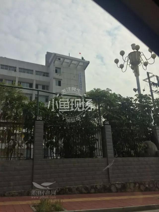 1488416007102041.jpg 6.jpg