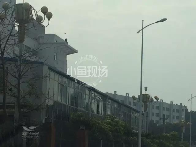 1488416012121758.jpg 7.jpg