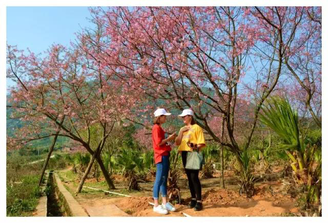 1491353651113147.jpg 4.jpg