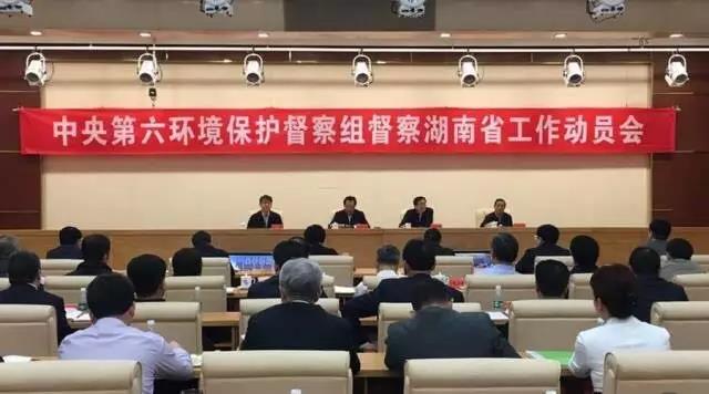 1493449140693543.jpg 5.jpg