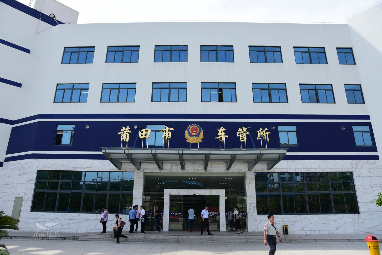 1494896124889552.jpg 11.jpg