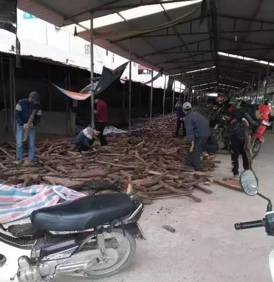 1495437877486388.jpg 2.jpg